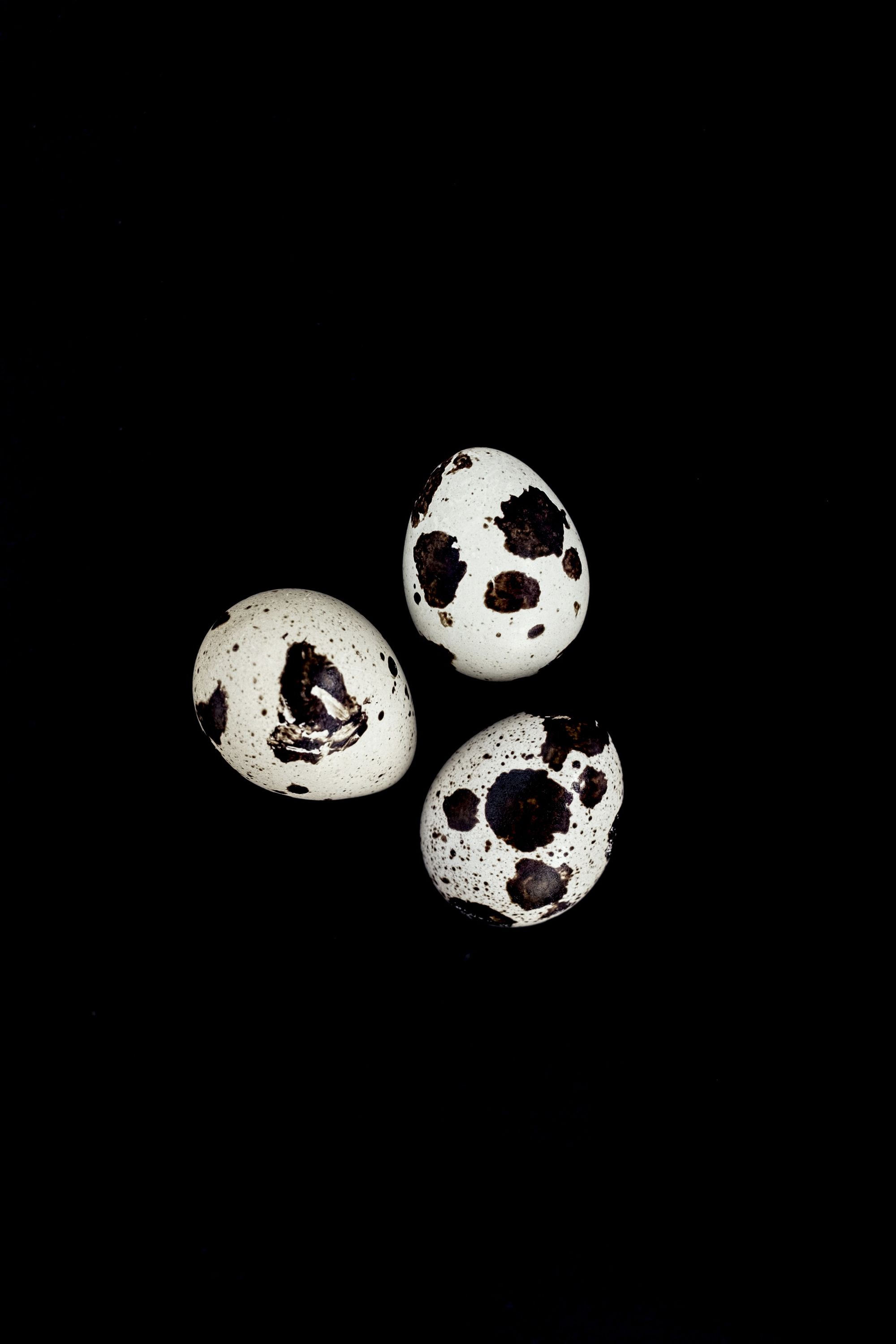 quail eggs