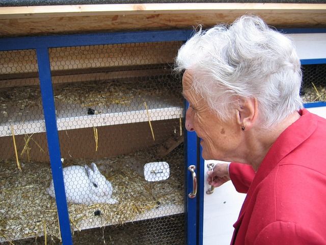 rabbit in hutch woman looks through cage