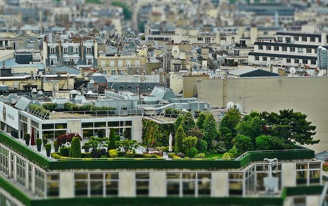 urban gardening rooftop landscape