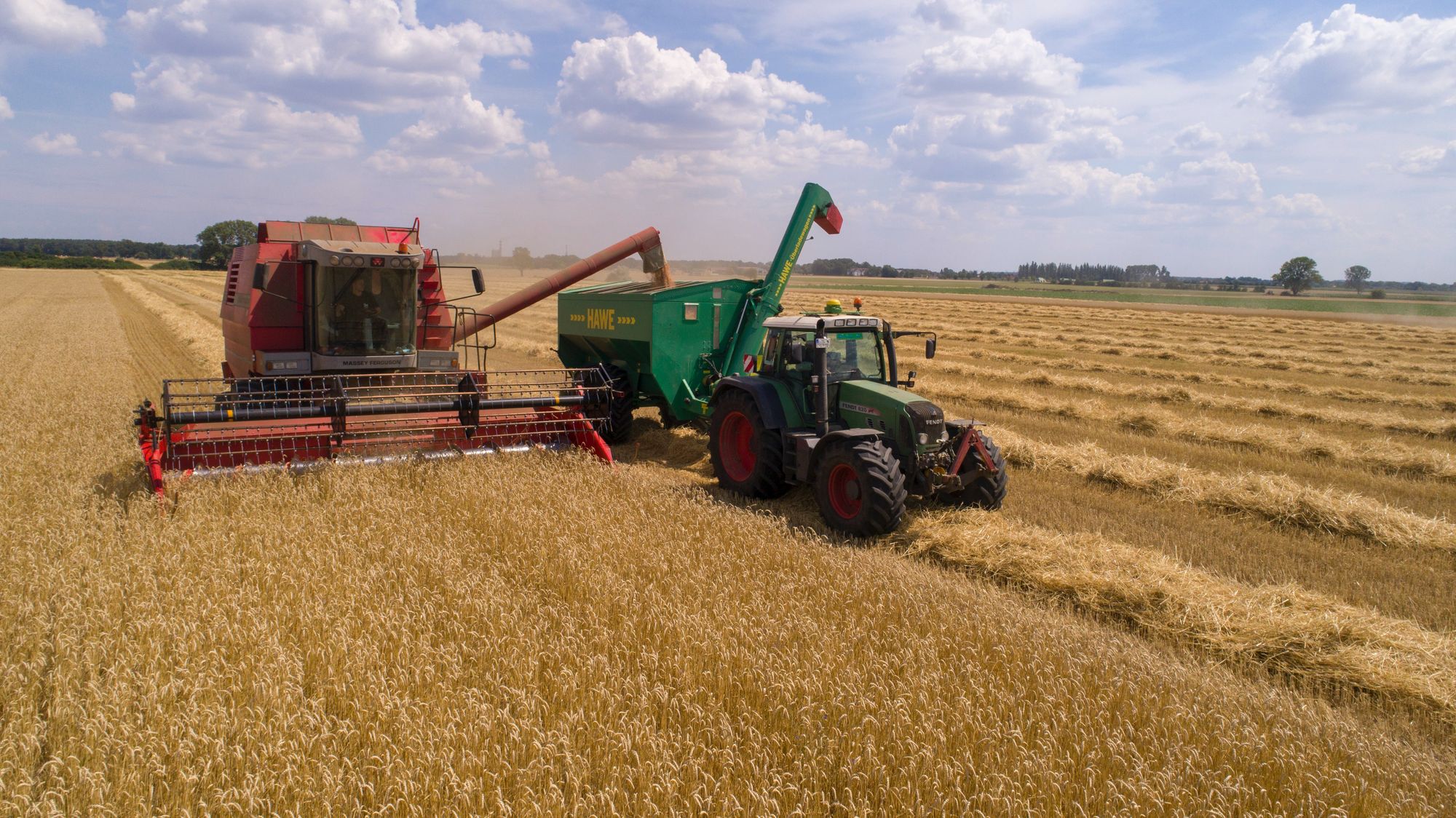 tractors harvesting wheat The Complicated History of Wheat Farming