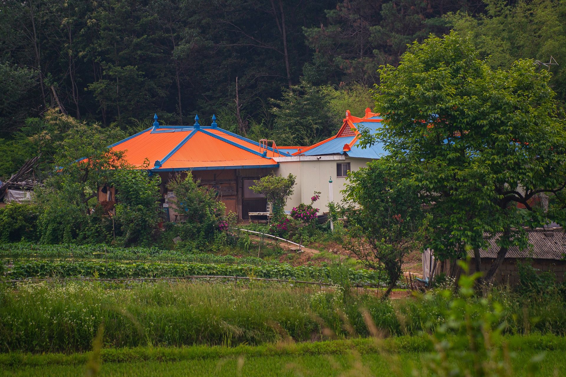 korean huts Korean Natural Farming: An Introduction to a Sustainable Farming Practice