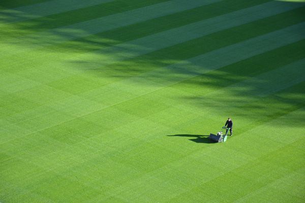 huge perfect green lawn being mowed From Lawn to Garden: How Planting Food Can Enhance Your Security and Independence
